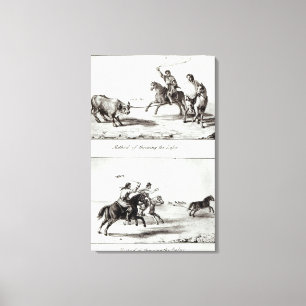 Toile Méthodes de jeter le lasso et le Bolas