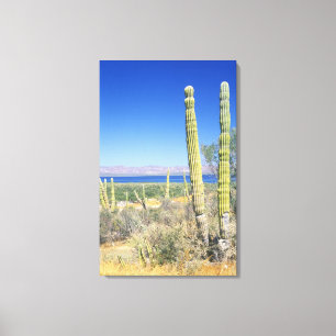Toile Mexique, Basse-Californie du Sud, Mulege, Bahia