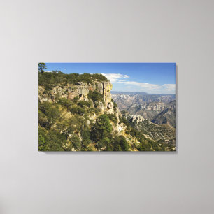 Toile Mexique, État de Chihuahua, Copper Canyon. CECI