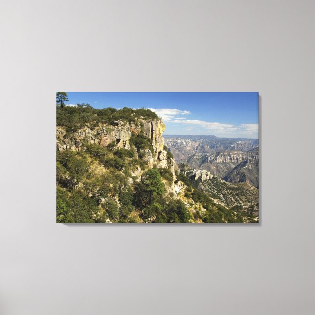 Toile Mexique, État de Chihuahua, Copper Canyon. CECI (Recto)