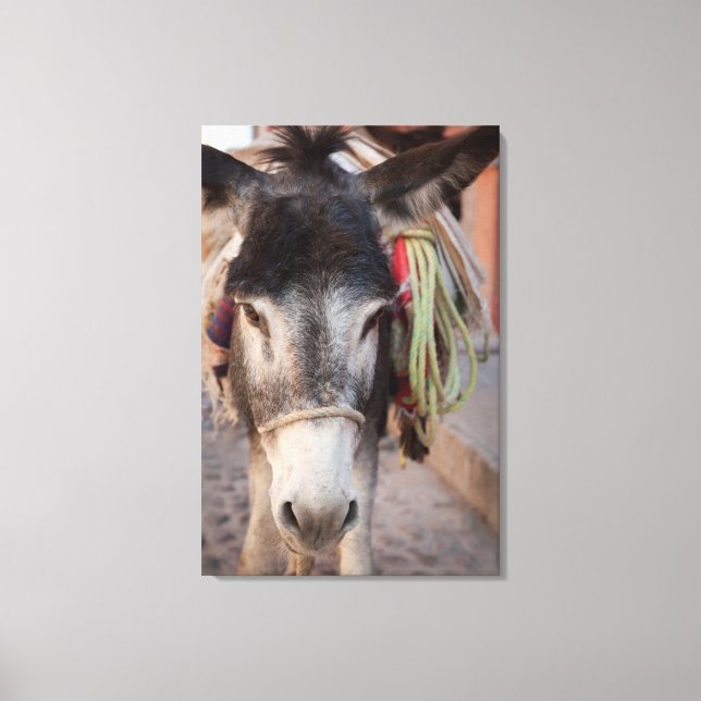 Toile Mexique, San Miguel De Allende 2 (Recto)