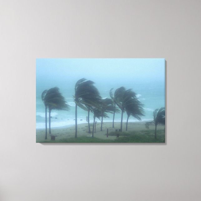 Toile Miami Beach, Floride, vents d'ouragan fouettant (Recto)