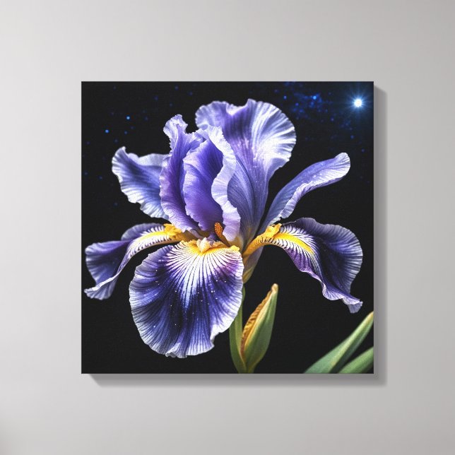 Toile Midnight Bloom Iris (Recto)