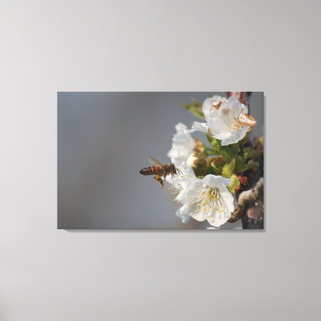 Toile Miel Bee (Recto)