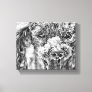 Toile Mignonne caniche Tongue du visage du chien yeux