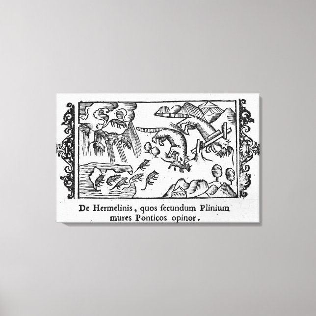 Toile Migration des lemmings (Recto)