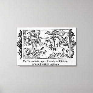 Toile Migration des lemmings