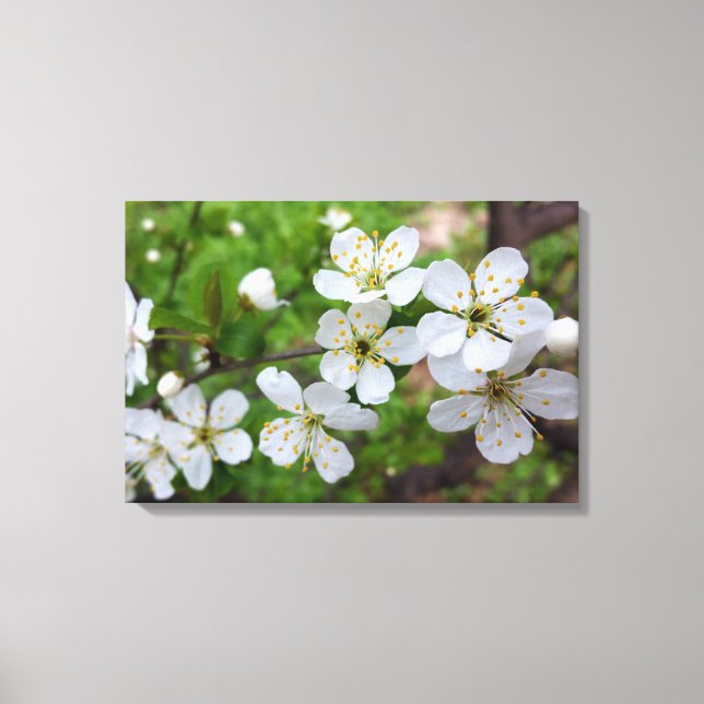 Toile minuscule fleurs blanches (Recto)