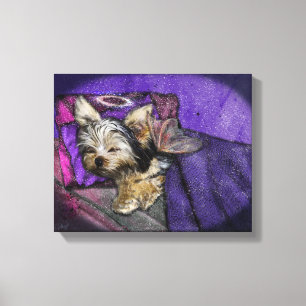 Toile Minuscule Yorkie dormant Angel Halo Memorial Art