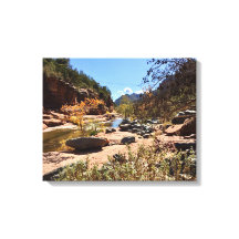 Mise à la terre dans la tranquillité de Sedona | S