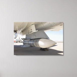 Toile Missiles en surplus de Phoenix de marine