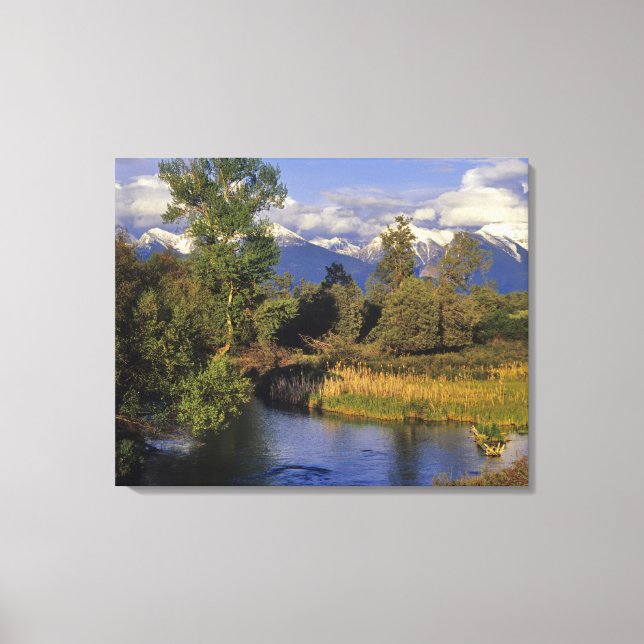 Toile Mission Creek traverse le National Bison (Recto)