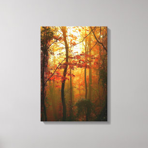 Toile Misty Autumn Morning Canvas