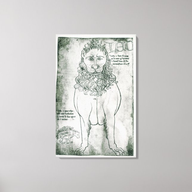 Toile Mme Fr 19093 fol.24v Lion et Porcupine (Recto)