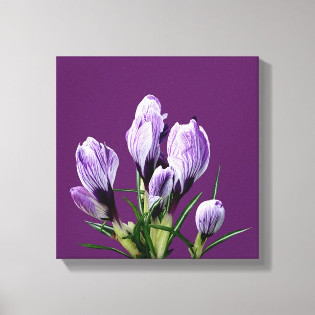 Toile Moderne crocus violet floral tendance numérique de (Recto)