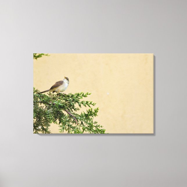 Toile Moineau (Recto)