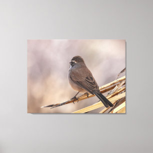 Toile Moineau sur une branche mince