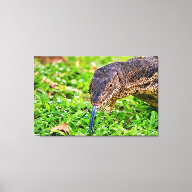 Toile Moniteur Lizard (Recto)