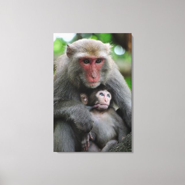 Toile Monkey Breast Nourrir Son Bébé (Recto)