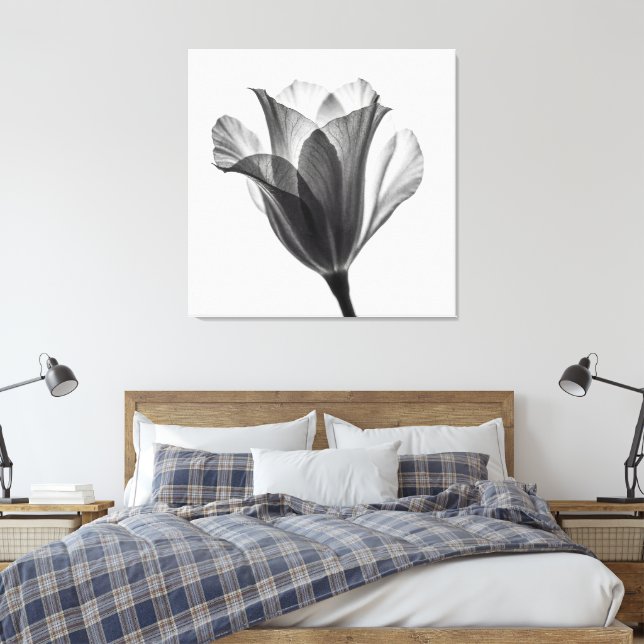 Toile Monochrome botanical fine art photograph (Insitu(Chambre))