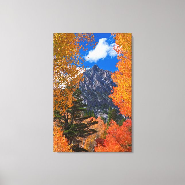 Toile Montagne encadrée par le feuillage d'automne, CA (Recto)