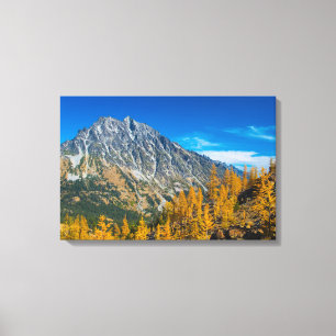 Toile Montagne Stuart et larves d'automne