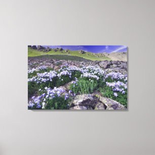 Toile Montagnes et fleurs sauvages dans un pré alpin,