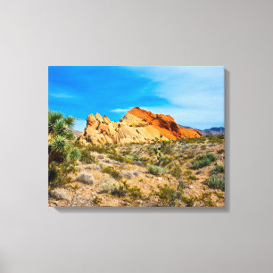 Toile Monument national de Gold Butte, Whitney Pocket