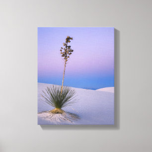 TOILE MONUMENT NATIONAL DE WHITE SANDS, NOUVEAU-MEXIQUE.
