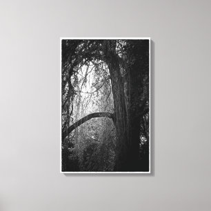 Toile Moody Willow Tree Photo paysage noir et blanc