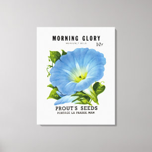 Toile Morning Glory Vintage Seed Packet