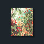 Toile Mosses, Muscinae Laubmoose par Ernst Haeckel<br><div class="desc">Mosses,  Muscinae Laubmoose par Ernst Haeckel Canvas Imprimer</div>