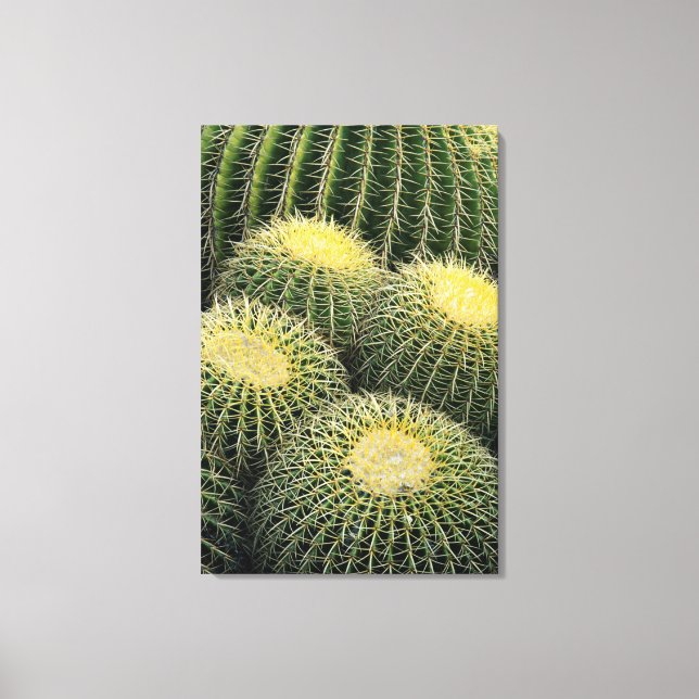 Toile Motif de cactus (Recto)