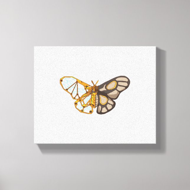 Toile Mouche papillon papillon mouche insecte (Recto)
