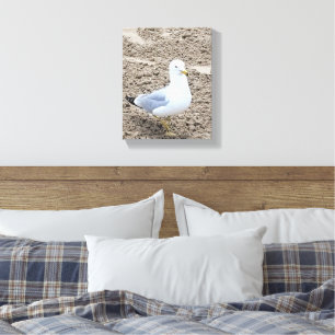 Toile Mouette