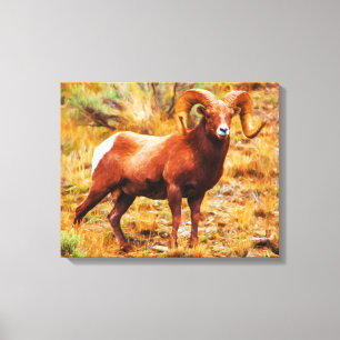 Toile Mouflon à grandes cornes