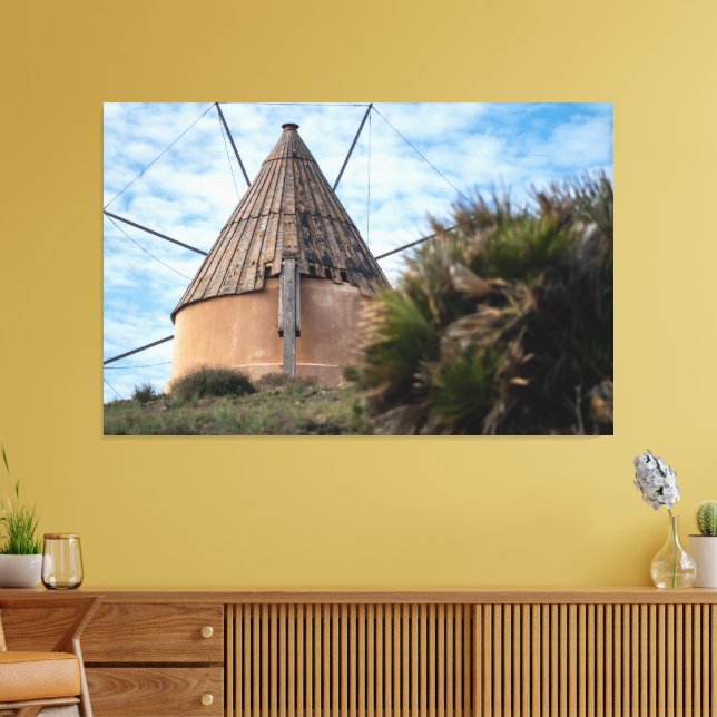 Toile Moulin à vin à Cabo de Gata (Insitu(Salon))