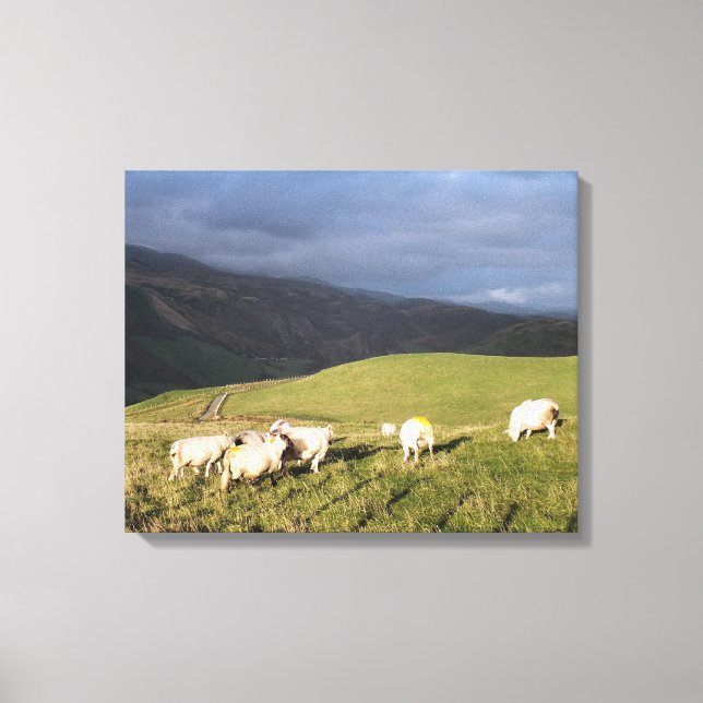 TOILE MOUNTAIN SHEEP (Recto)
