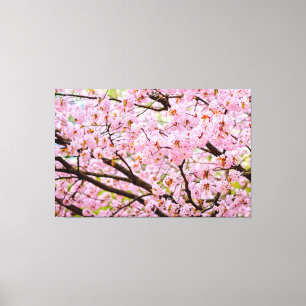 Toile Mousse rose de fleurs de cerisier sur les arbres S