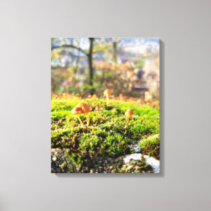 Toile Mousses et lichens avec de minuscules champignons