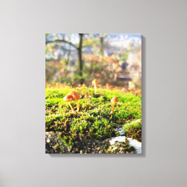 Toile Mousses et lichens avec de minuscules champignons (Recto)