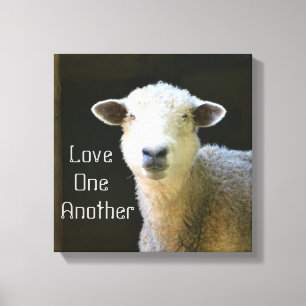 Toile Mouton doux