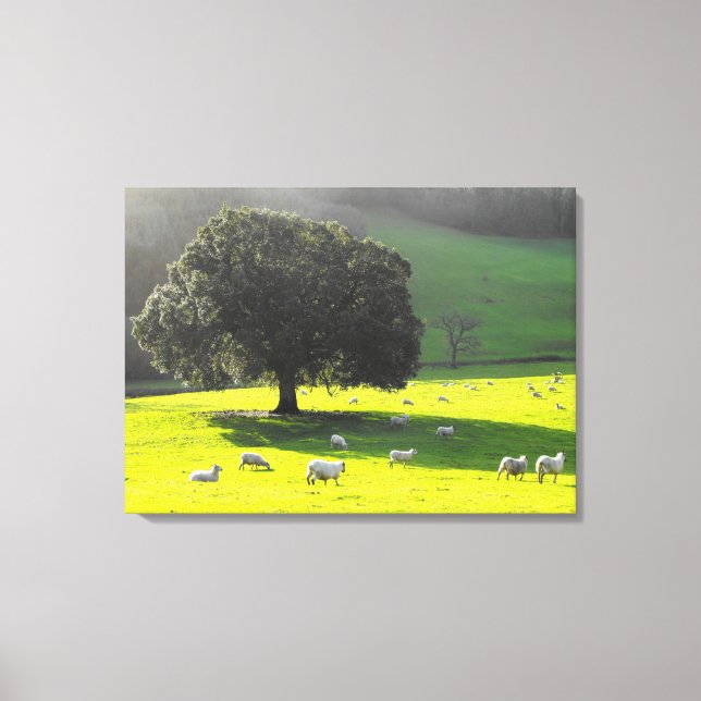 Toile Moutons au soleil matinal (Recto)