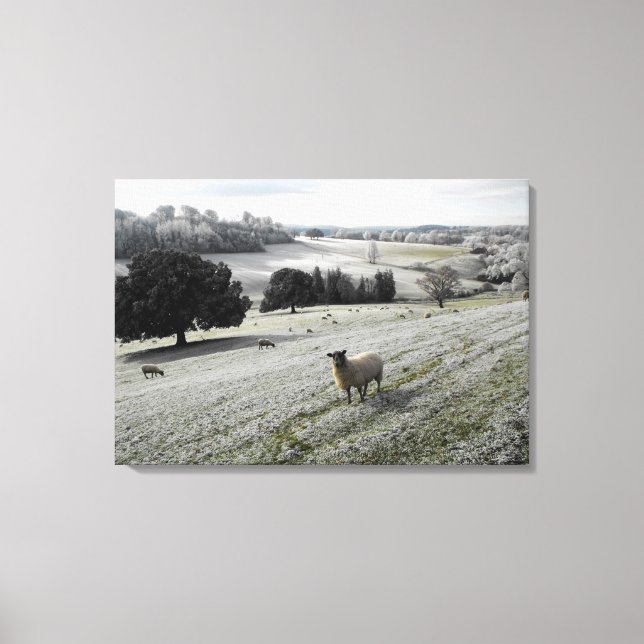 Toile Moutons dans une vallée gelée (Recto)