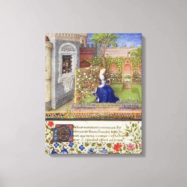 Toile Ms 2617 Emilia dans son jardin, Plaque 22 (Recto)