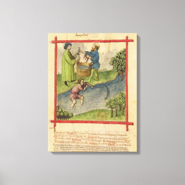 Toile Ms Lat 9333 f.82 Fishing for Eels, de 'Tacuinum (Recto)