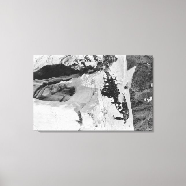 Toile Mt Rainier, WA Nisqually Glacier Climbers (Recto)