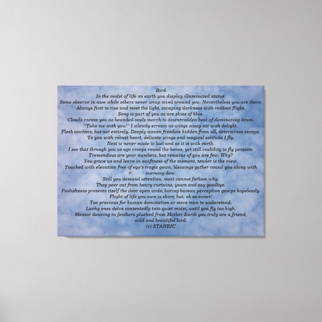 TOILE MUR CANVAS STYLE ART&DESIGN (Recto)