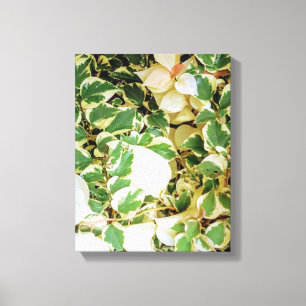 Toile Mur de jardin botanique