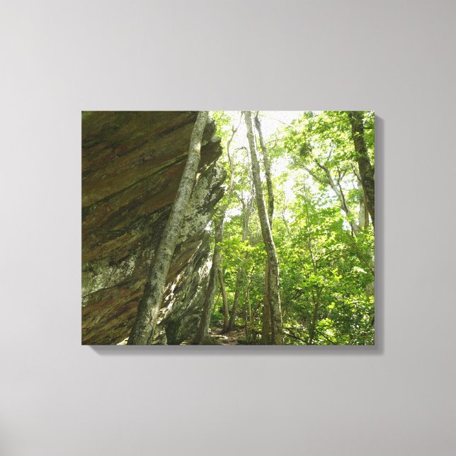 Toile Mur de roche de Frazier dans le parc national de S (Recto)